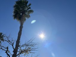 195-10-01-2026 IMG_3395